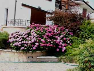 03-fioriere
