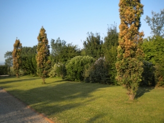 05-giardino