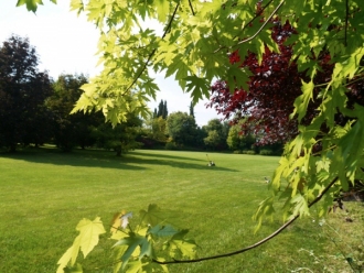 08-giardino