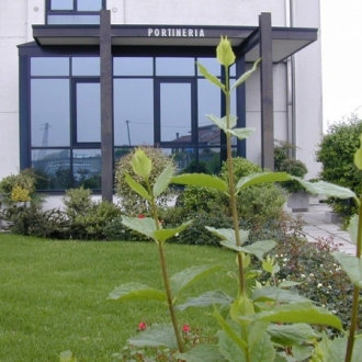 verde-aziendale_