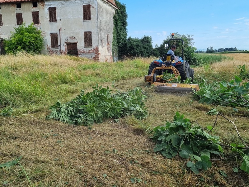 Sfalci Erba